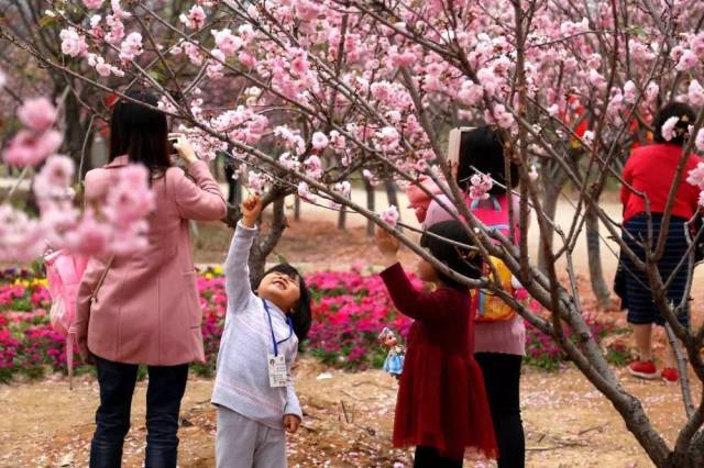 深圳2小时内周边自驾游,深圳爬山看海攻略旅游线路