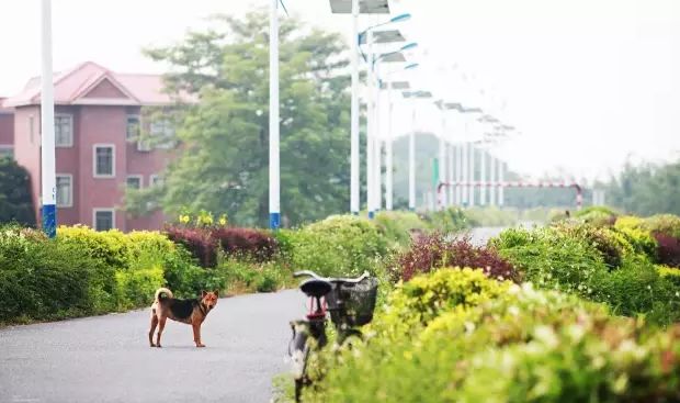 深圳2小时内周边自驾游,深圳爬山看海攻略旅游线路