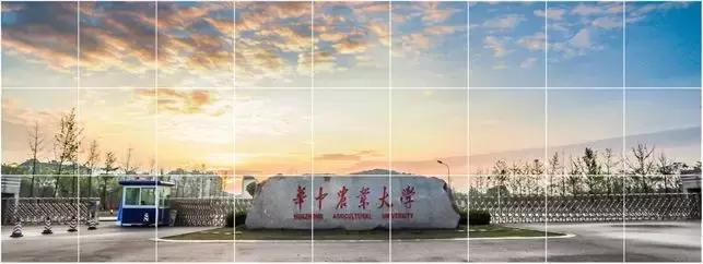 ppt中好看的表格设计,ppt里好看的表格设计