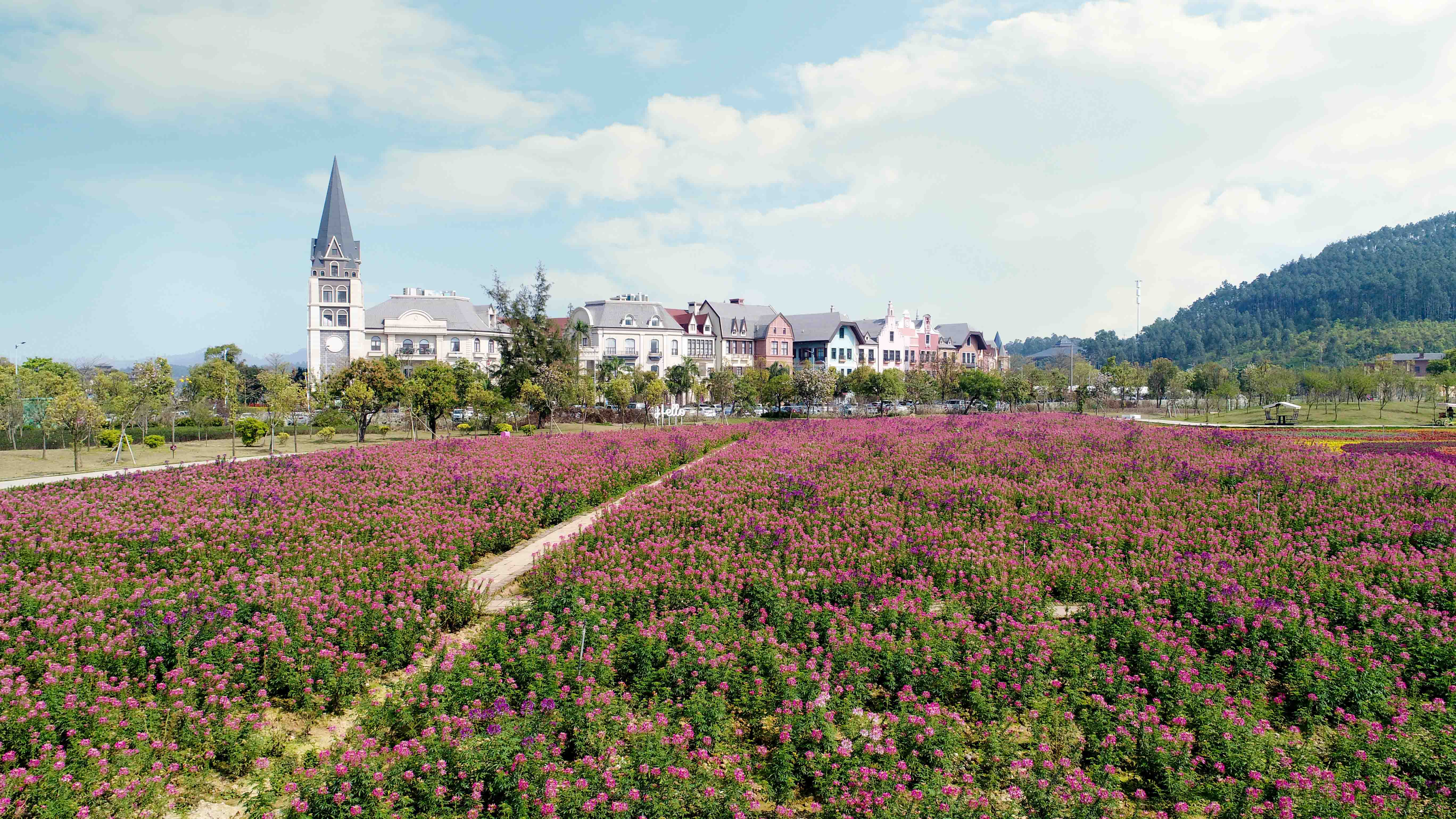 深圳2小时内周边自驾游,深圳爬山看海攻略旅游线路