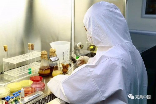 完美中国有限公司是干嘛的,完美中国有限公司怎么样