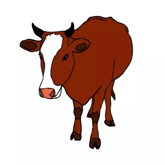 十二生肖的吉凶数字,12生肖各有各的命看看你是什么命