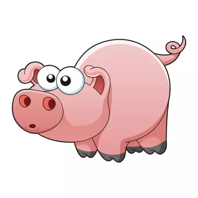 十二生肖的吉凶数字,12生肖各有各的命看看你是什么命