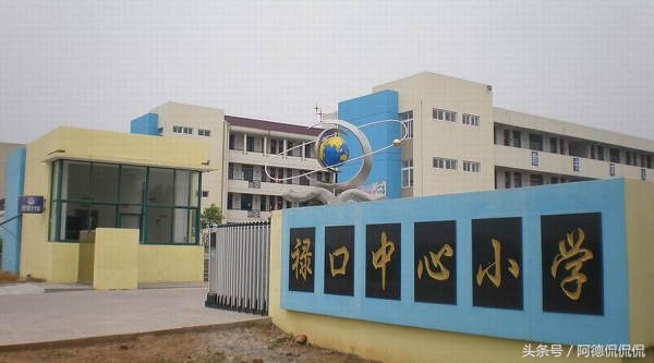 南京江宁区小学前十名,南京江宁中学排名名单