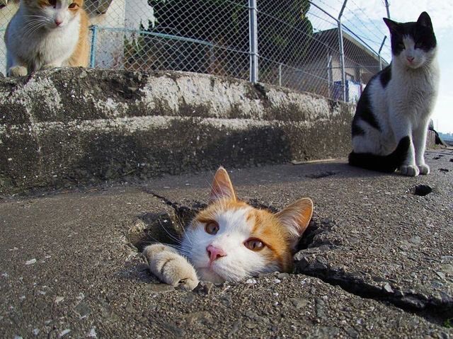 315曝光最暴利的产品,越南购物骗局