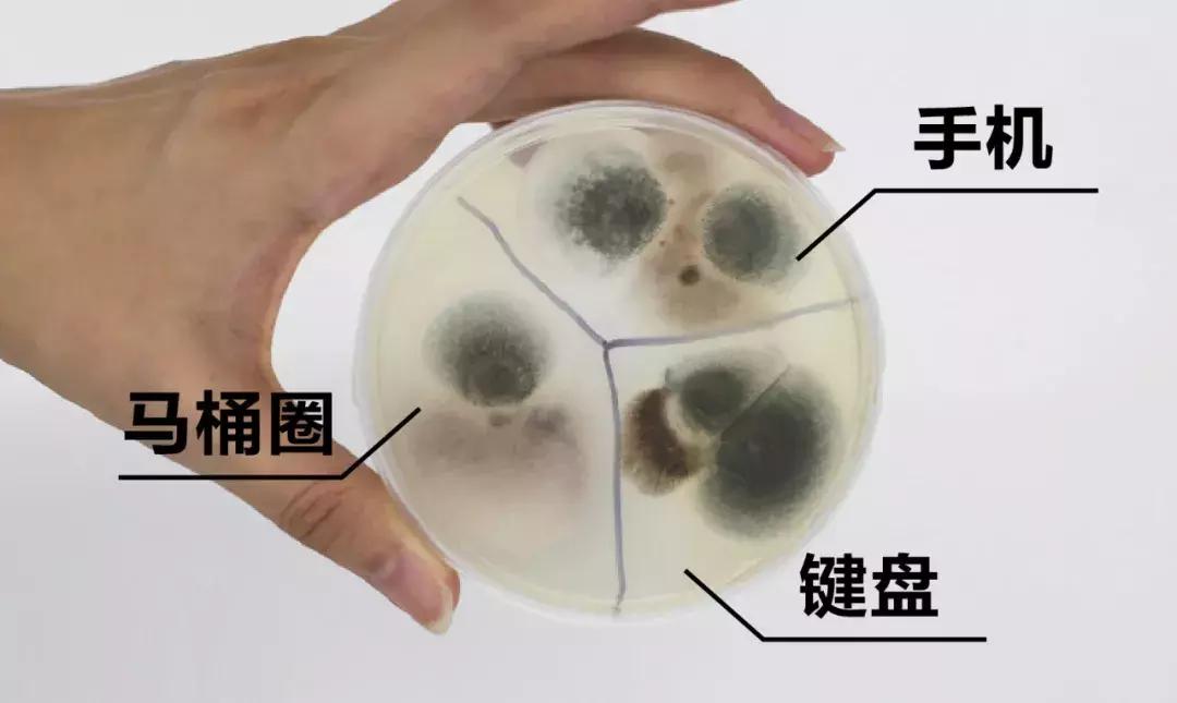 清洁软胶帮你清洁家里每个角落,清洁软胶如何把上面的污垢搞掉