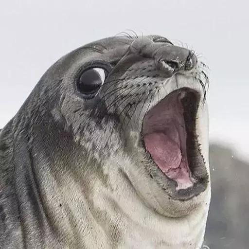 国外传销真实生活揭秘,国外传销真实生活揭秘最新