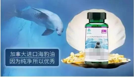 国外传销真实生活揭秘,国外传销真实生活揭秘最新