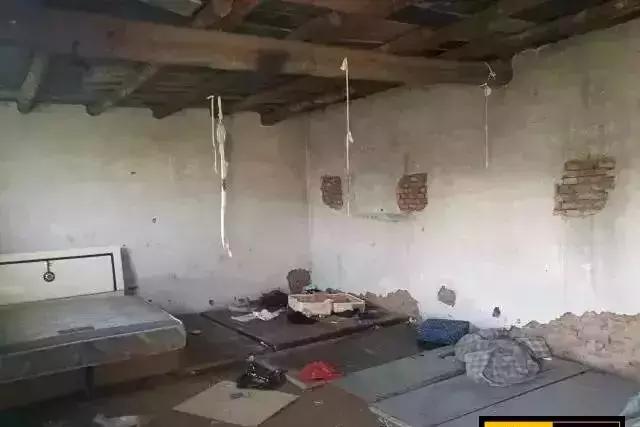 国外传销真实生活揭秘,国外传销真实生活揭秘最新