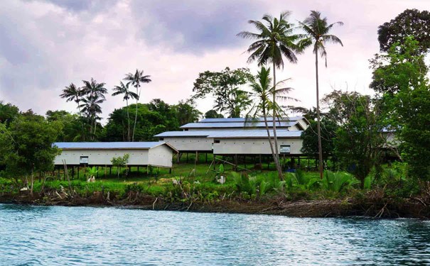 燕窝相关问答,燕窝讲解