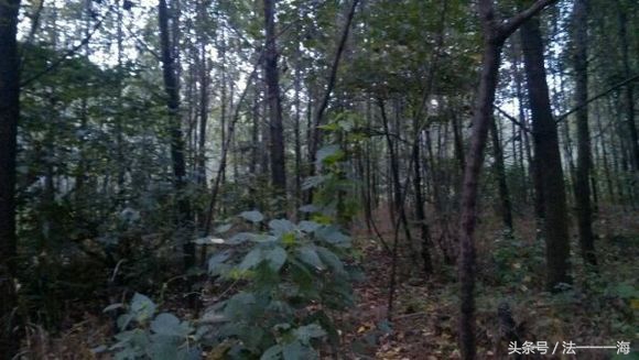 脏东西越臭越凶灵异事件,民间灵异故事小孩篇