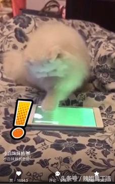 论套路我是认真的,论经典我只服赵丽颖