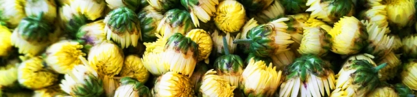 春敏科普视频,科普一下春敏到底是什么