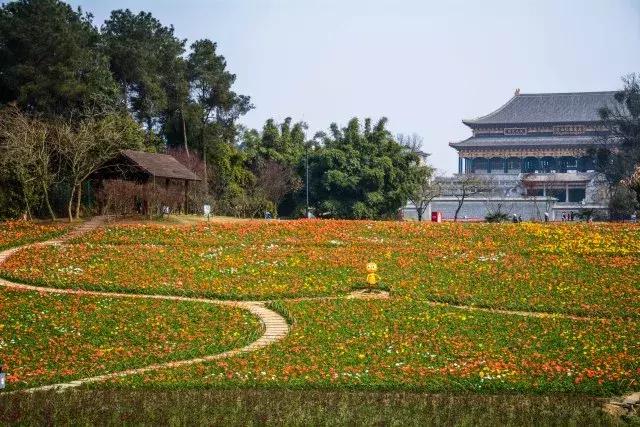 石象湖踏青,蒲江石象湖门票价格多少