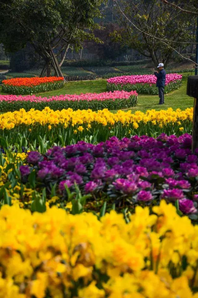 石象湖踏青,蒲江石象湖门票价格多少