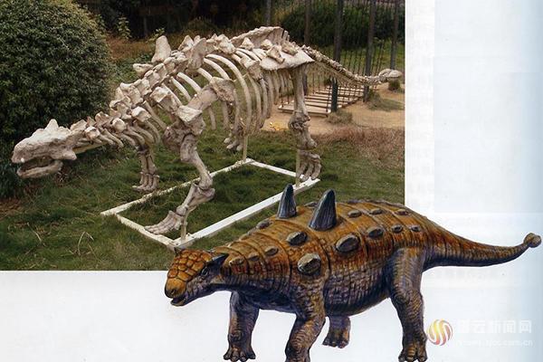 恐龙学名为什么用拉丁语,恐龙的种类名称带拼音