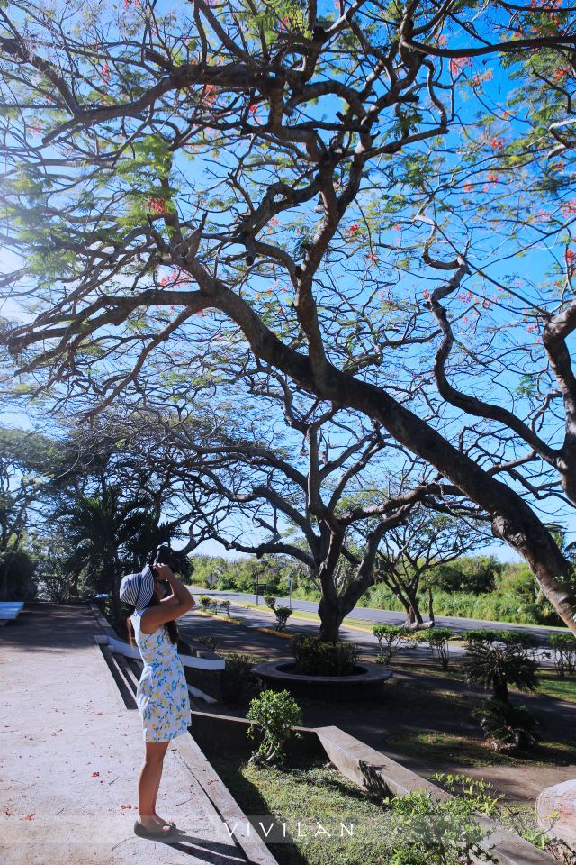 璀璨塞班：不止一抹蓝调的逐梦之旅