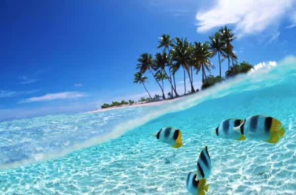 马来西亚十大隐藏小岛,马来西亚必去的地方推荐