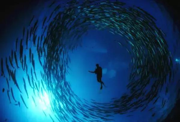 马来西亚十大隐藏小岛,马来西亚必去的地方推荐