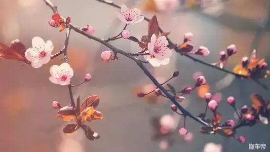 *光春**一泻千里,让你尽展笑颜