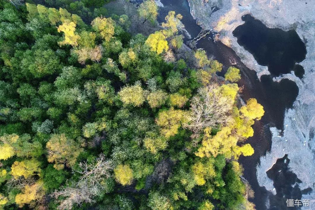 *光春**一泻千里,让你尽展笑颜