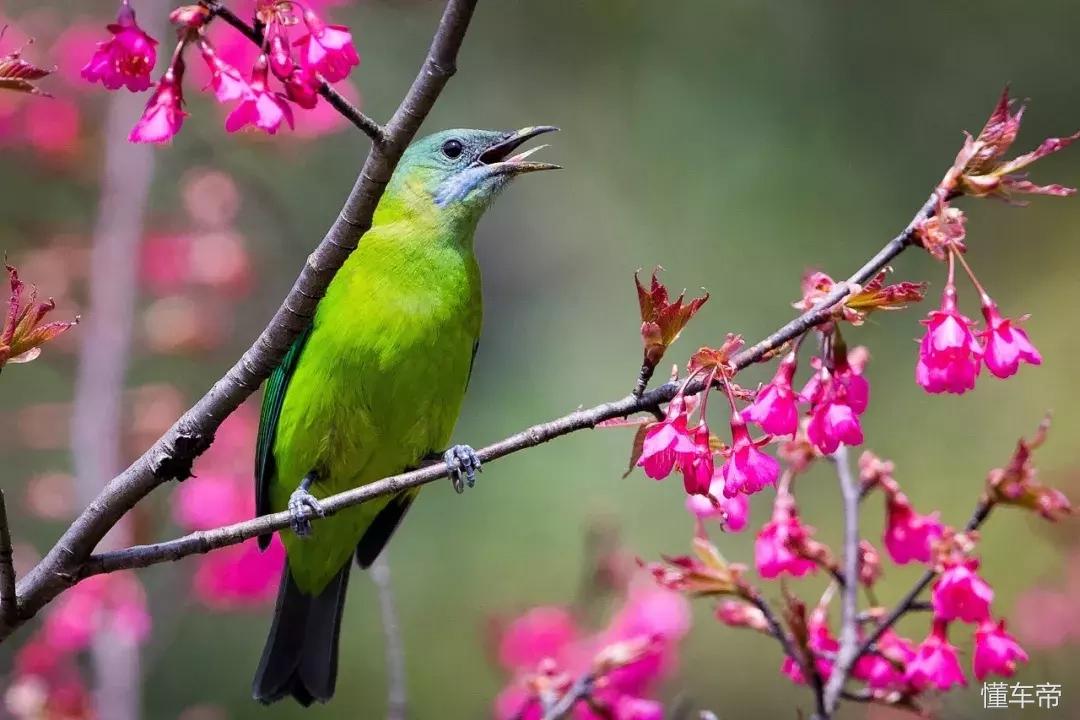 *光春**一泻千里,让你尽展笑颜