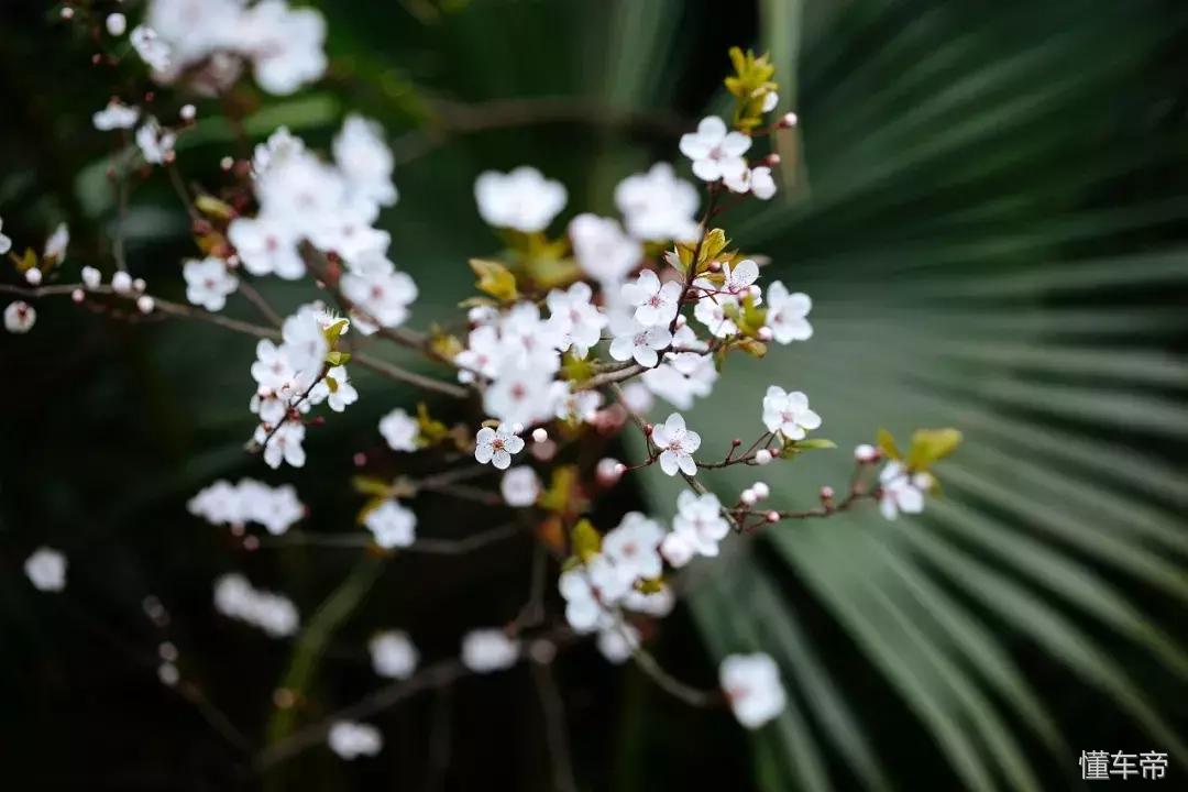 *光春**一泻千里,让你尽展笑颜