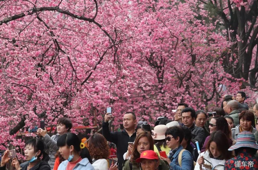 *光春**一泻千里,让你尽展笑颜