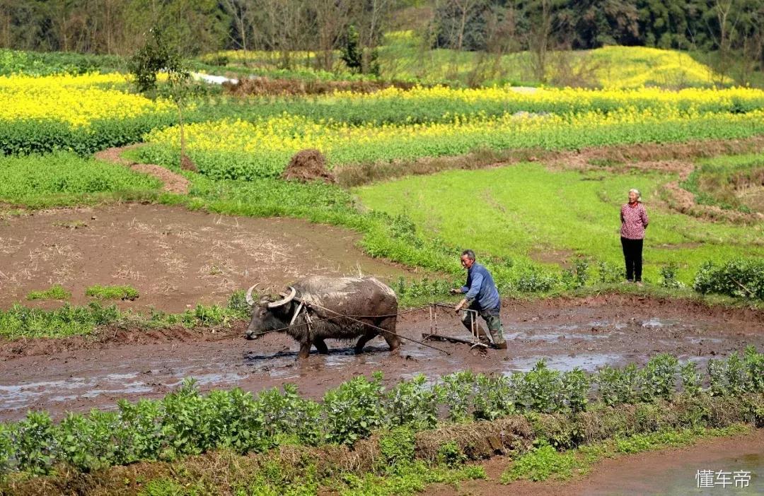 *光春**一泻千里,让你尽展笑颜