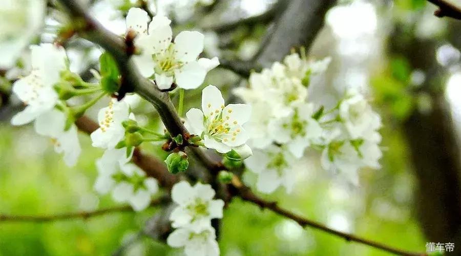 *光春**一泻千里,让你尽展笑颜