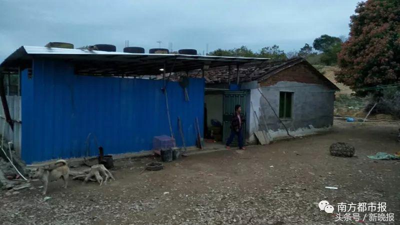 10岁女童踩到一颗钉子,最后竟要截肢保命!千万别忽视这些小伤