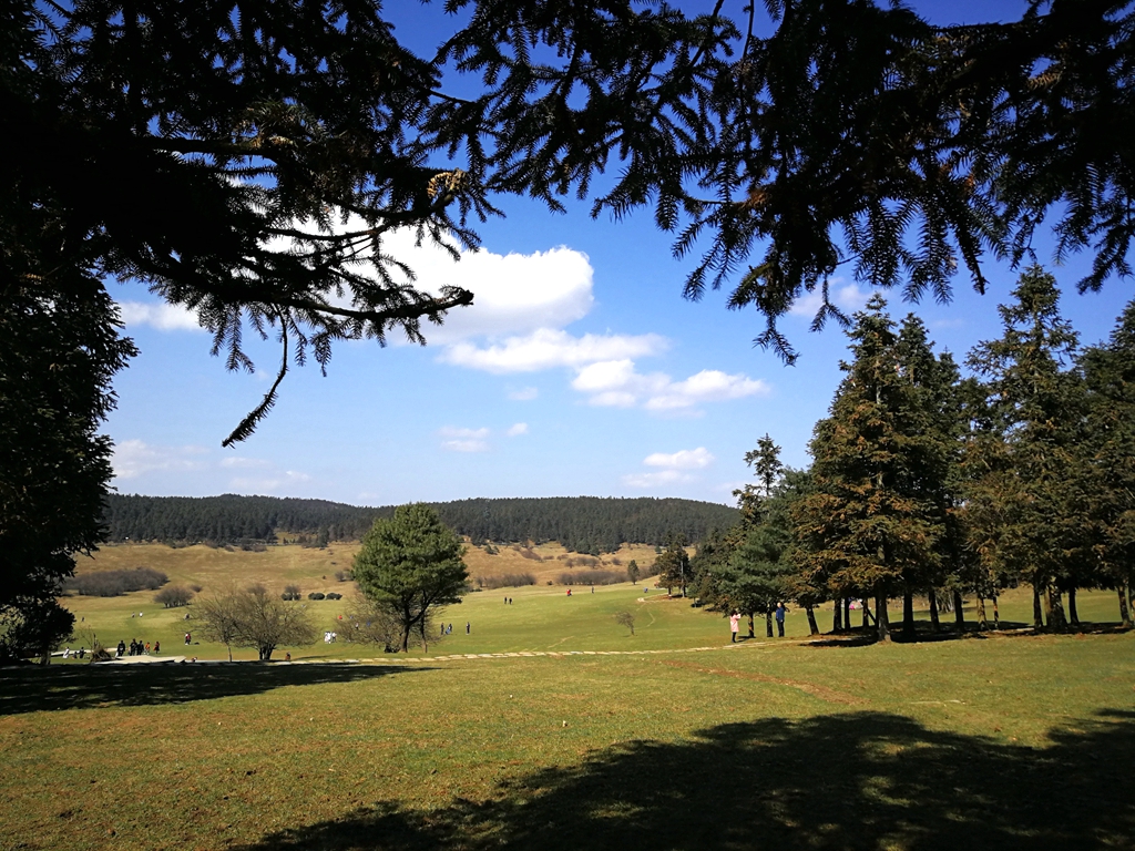 冬日出门溜溜哒,武隆冬季一日游最佳攻略