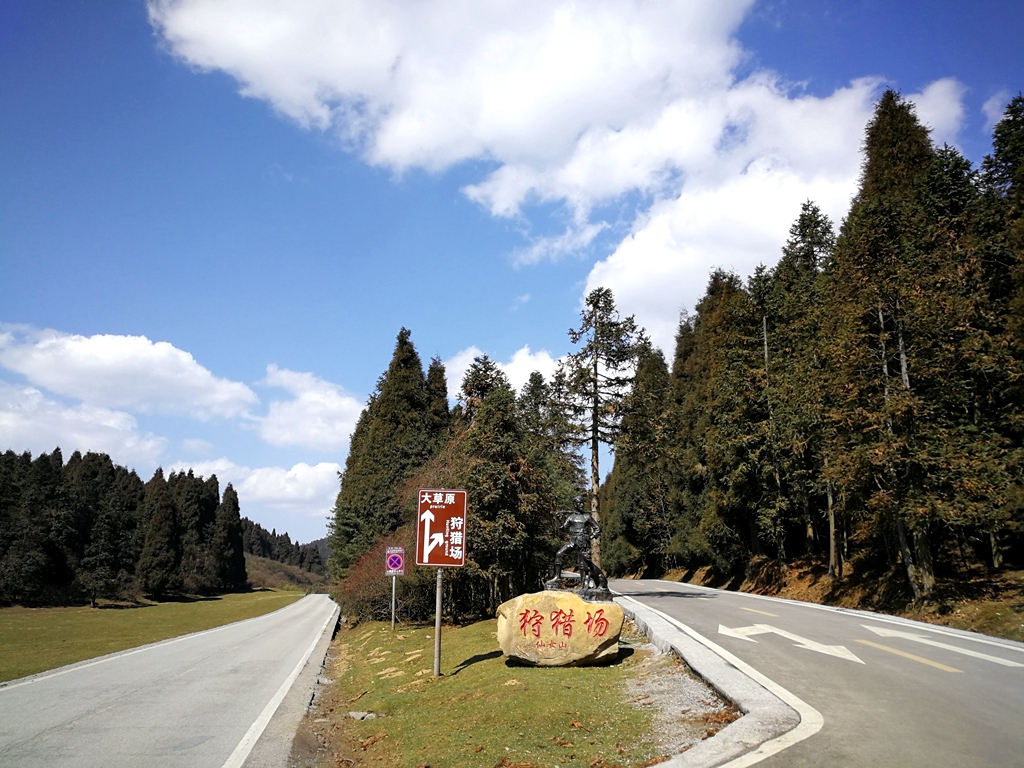 冬日出门溜溜哒,武隆冬季一日游最佳攻略