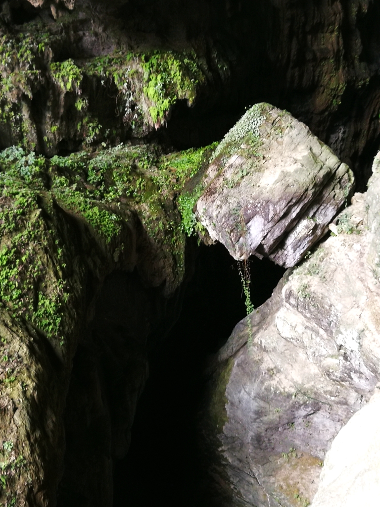 冬日出门溜溜哒,武隆冬季一日游最佳攻略