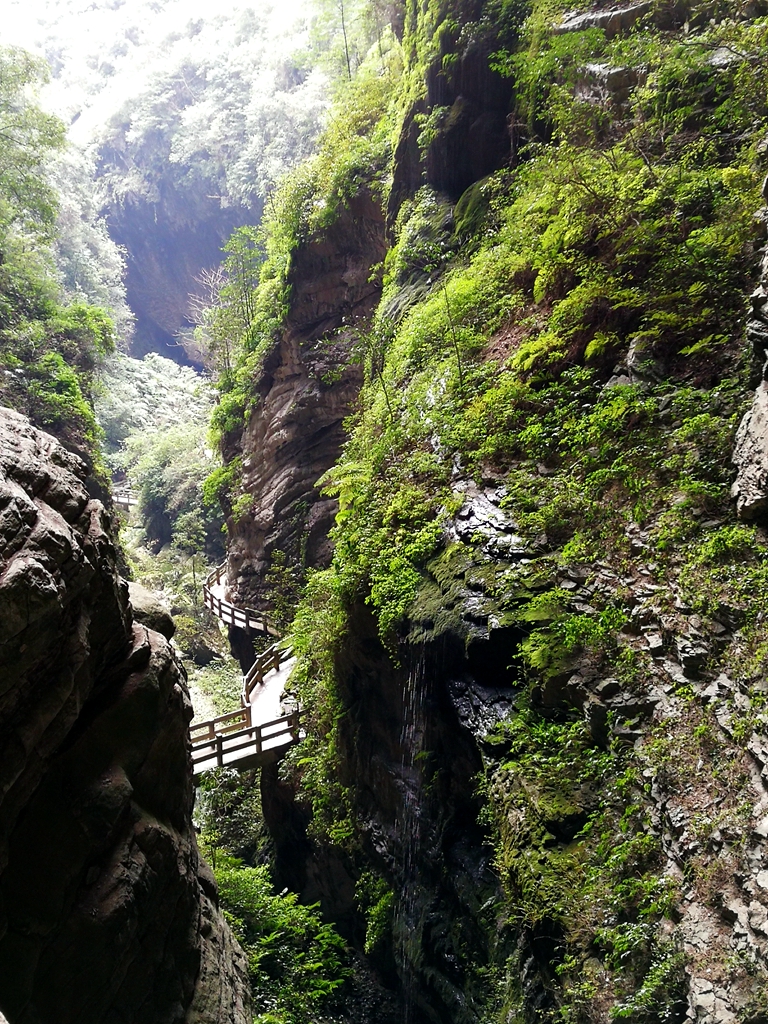 冬日出门溜溜哒,武隆冬季一日游最佳攻略
