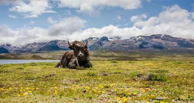 12月西藏最美旅行地排行,背包旅行西藏最美旅行时间表