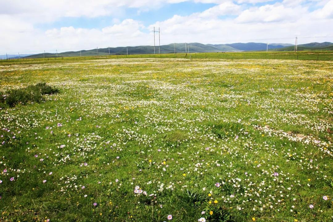 12月西藏最美旅行地排行,背包旅行西藏最美旅行时间表