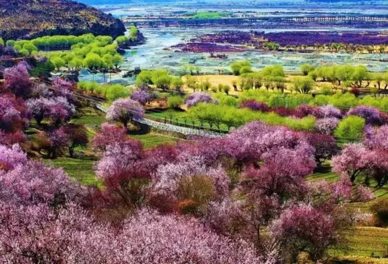 12月西藏最美旅行地排行,背包旅行西藏最美旅行时间表