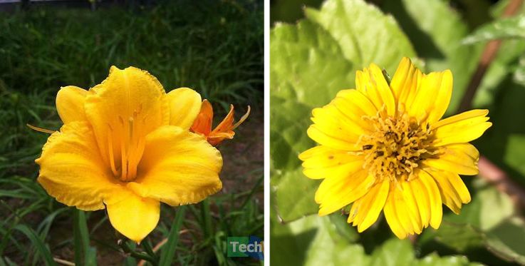 美得千篇一律不如丑的标新立异,曾经漂亮的手机