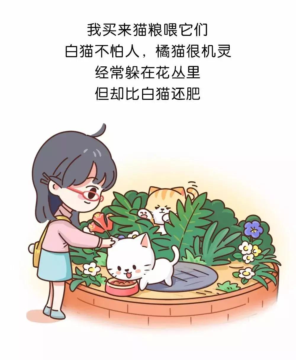 被拐卖大学生路人求救,被拐卖小姑娘求救信息