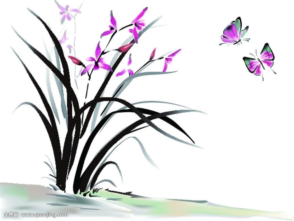 为什么兰花那么值钱呢,兰花花苞如何辨别是否值钱