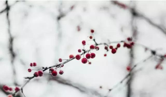 小孩课堂坐不住怎么引导,孩子们坐不住应该怎么教