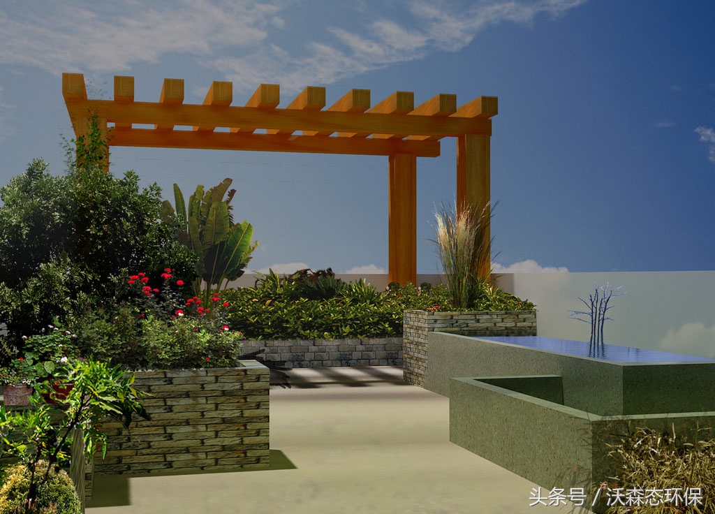 花架庭院藤蔓植物,花架藤蔓植物