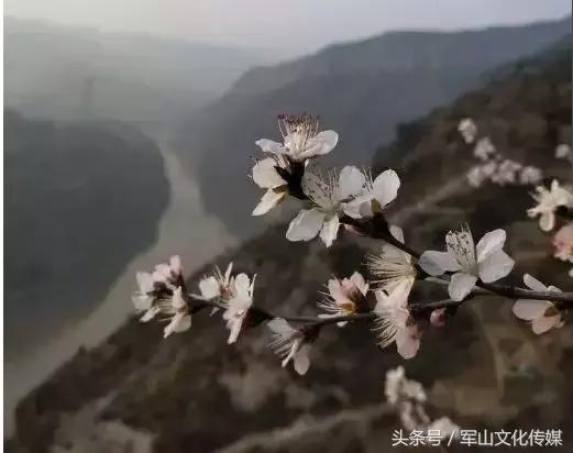 运城大梯子崖的桃花几月去最好,河津黄河大梯子崖景区天气预报