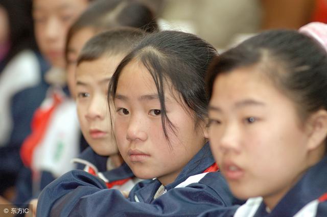 楚才作文三等奖是什么档次,楚才作文竞赛完整视频