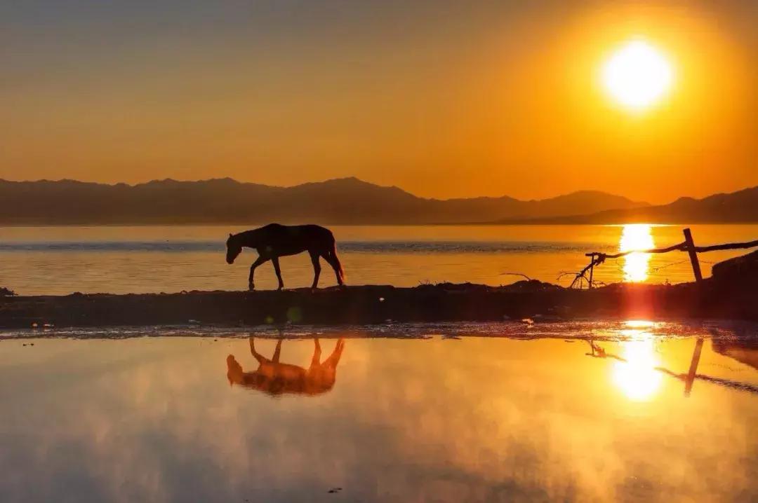 人为何会得癌症带你全面了解癌症,什么样的人容易得肿瘤癌症