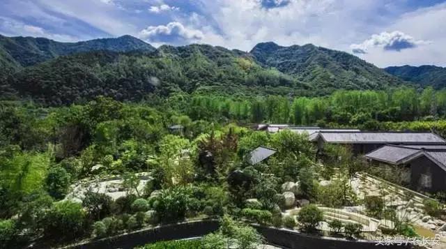 西安长安挖野菜最好的地方,长安哪里挖野菜好吃