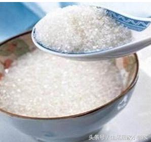 养花人必须学会的这一招扦插方法,扦插养根的三大绝招