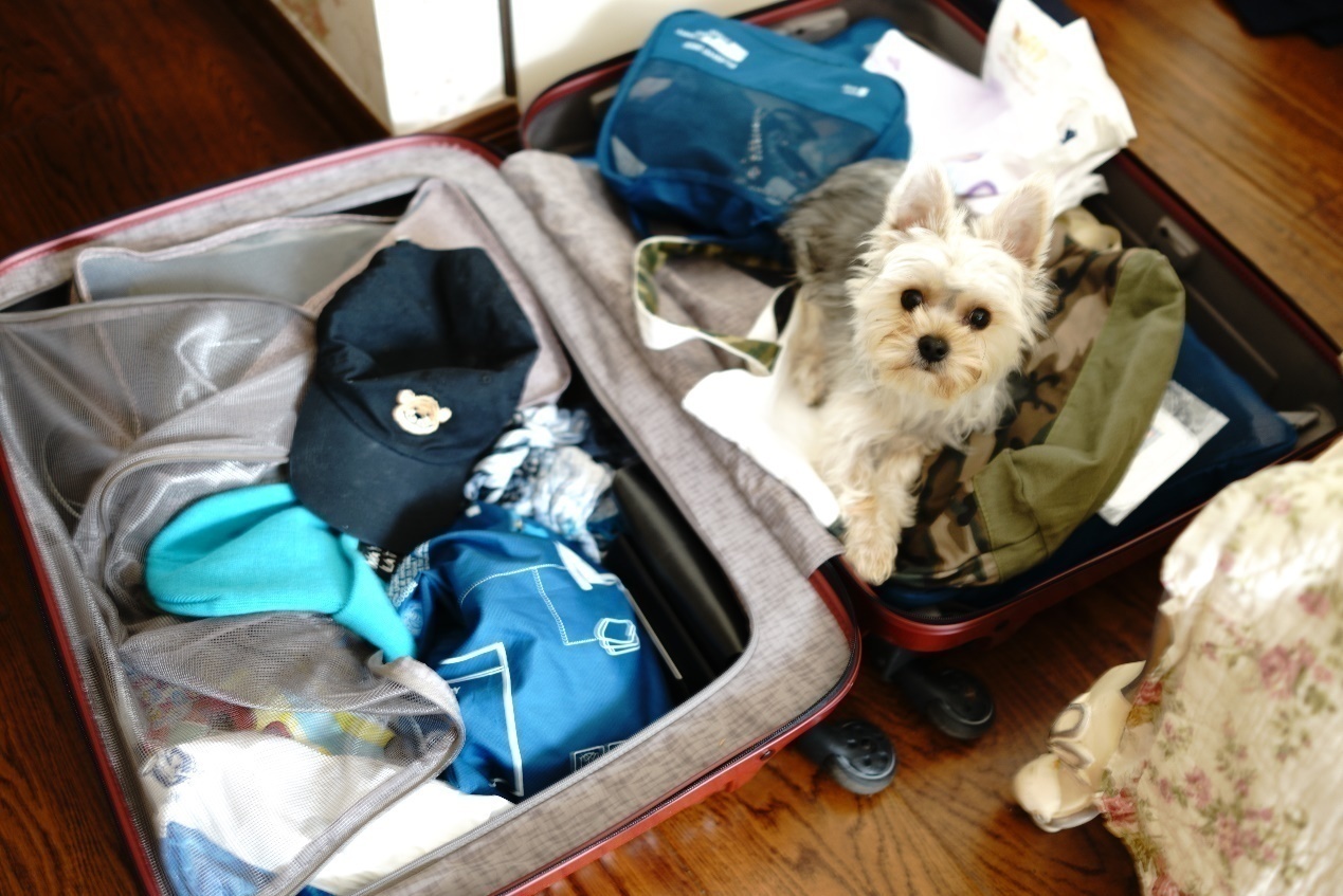 索尼Rx1r2六天五晚慢游新加坡——环球影城篇