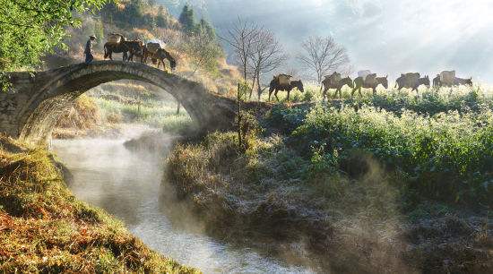 老寨村的故事,老寨冰岛地址